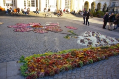 Fleur-Mairie-2021