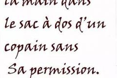 tiré des récits des copains