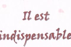 tiré des récits des copains